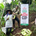 Panen Raya Jagung dalam Program Bantuan untuk Petani Se-Jawa Barat Telah Dilaksanakan
