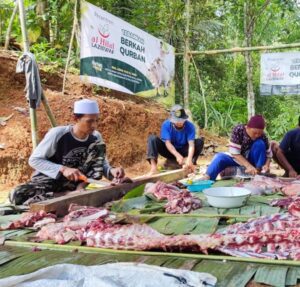 Qurban di Pelosok Desa 1445 H! Penyembelihan dan Pendistribusian Qurban di Tasikmalaya Sedang Berlangsung