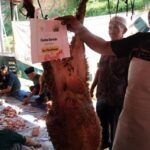 Terima Kasih Shohibul Qurban Dapur Berkah yang Telah Menitipkan Hewan Qurban di Laziswaf Al Hilal