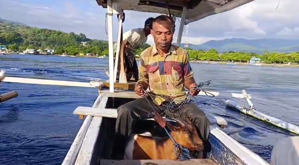 A person sitting in a boat with a goat

AI-generated content may be incorrect.