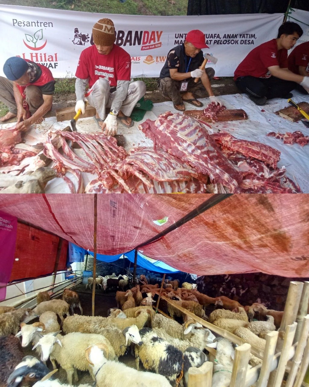A group of people cutting meat AI-generated content may be incorrect.