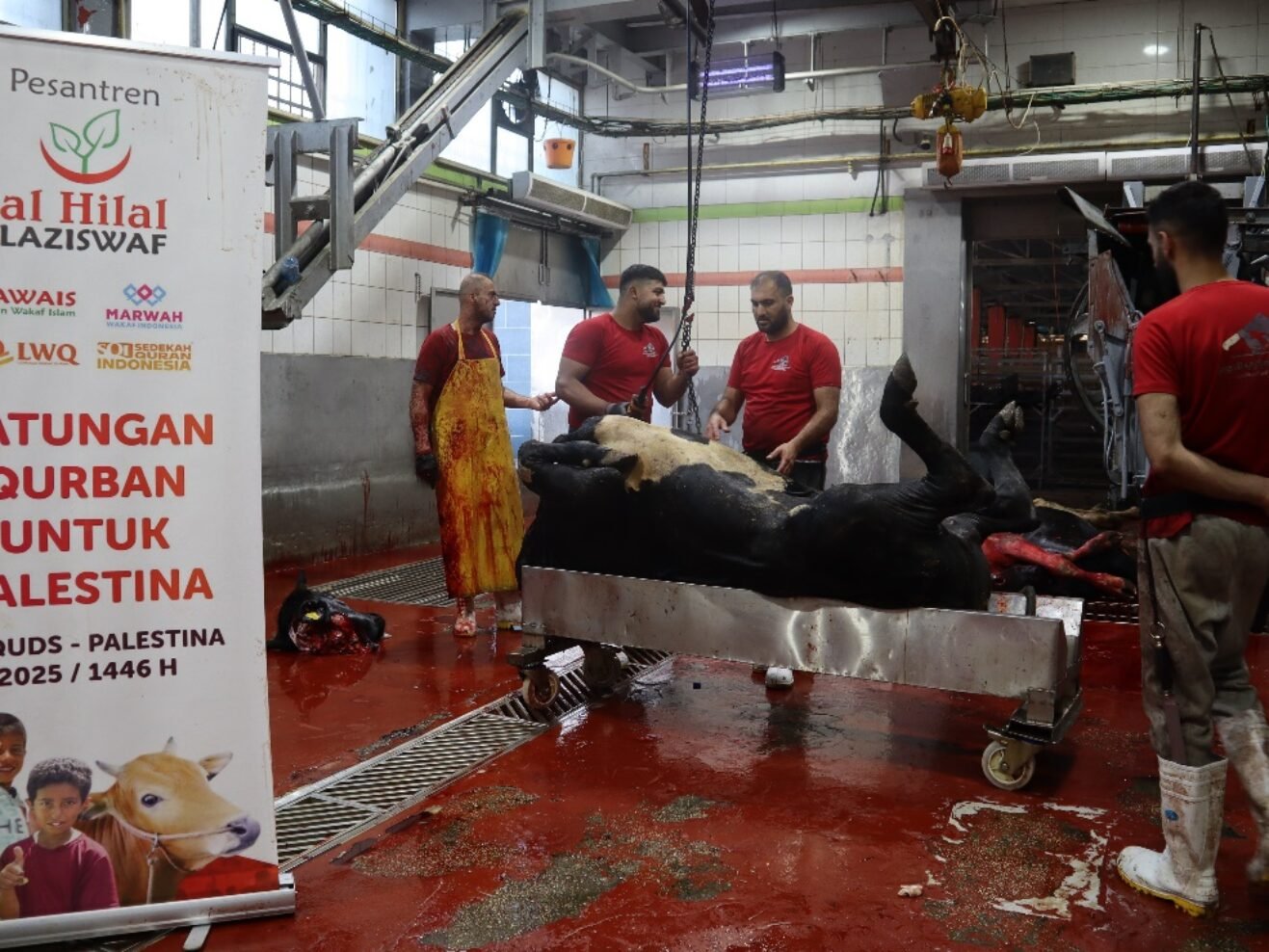 Qurban 2026: Apa Itu dan Kapan Pelaksanaannya?