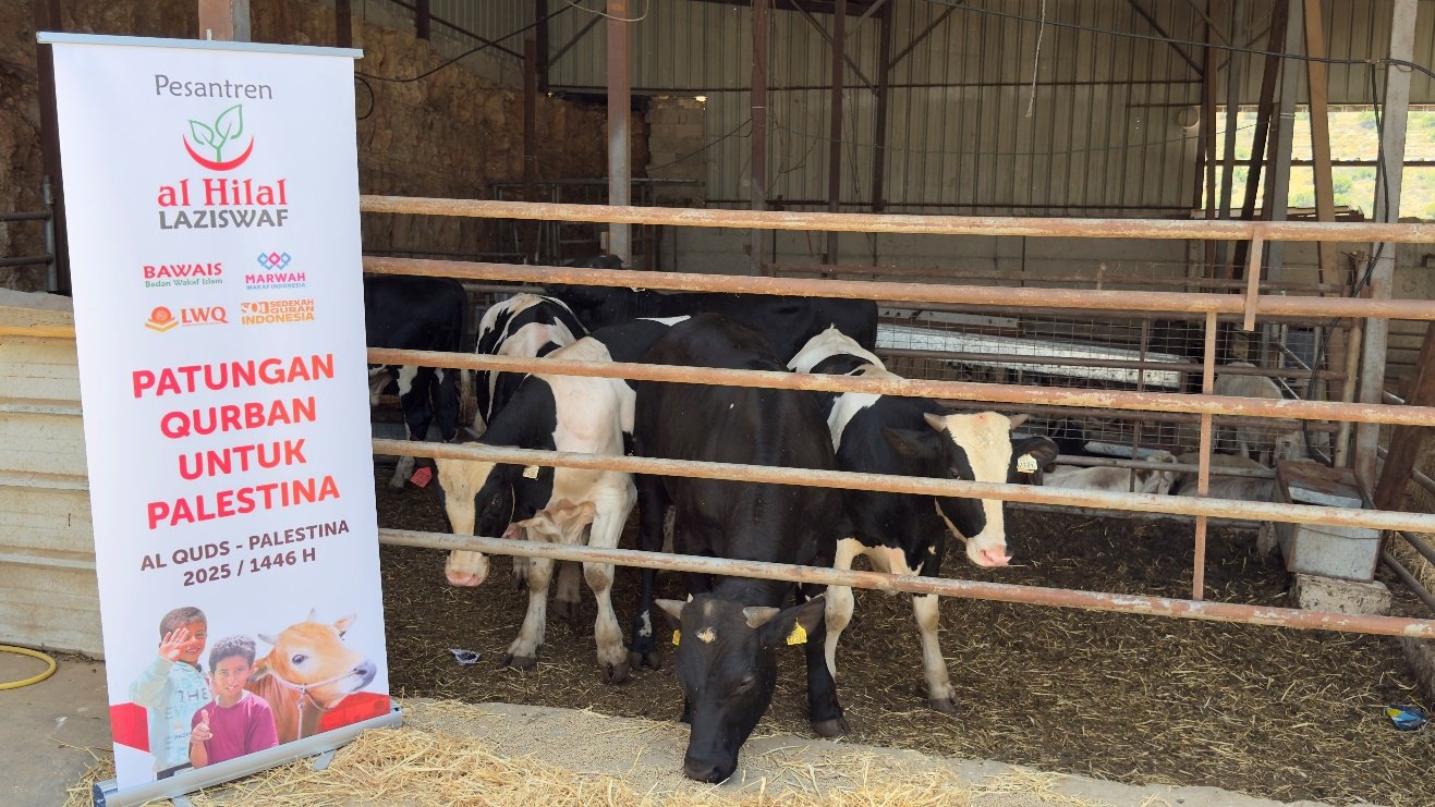 Cows in a pen with a sign AI-generated content may be incorrect.
