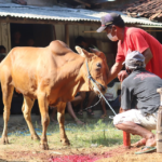 Jangan Biarkan Harta Hanya Habis untuk Kebutuhan, Yuk Sisihkan untuk Qurban Tahun Ini