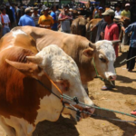 Yuk Bahagiakan Anak Yatim Dengan Beri Kesempatan Mereka Berqurban di Hari Raya Idul Adha