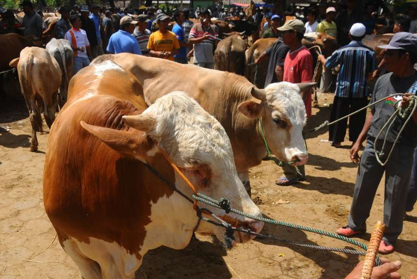 Yuk Bahagiakan Anak Yatim Dengan Beri Kesempatan Mereka Berqurban di Hari Raya Idul Adha