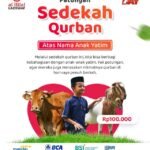 Qurban Untuk Anak Yatim: Cara Mulia Berbagi Kebahagiaan di Hari Raya Idul Adha 2026