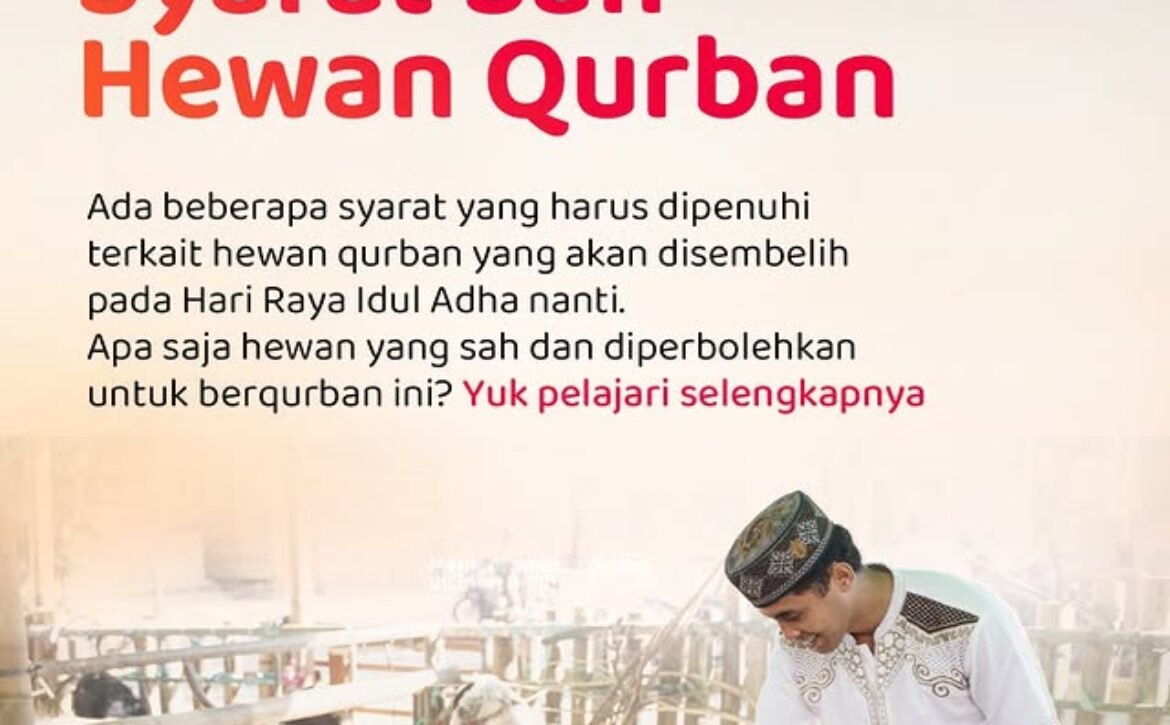 Syarat Sah Hewan Qurban