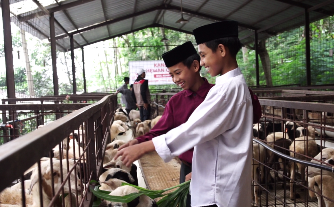 Sedekah Qurban, Hadirkan Senyum untuk Anak Yatim Dhuafa Penghafal Quran