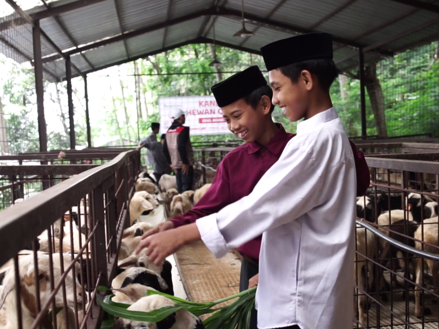 Sedekah Qurban, Hadirkan Senyum untuk Anak Yatim Dhuafa Penghafal Quran