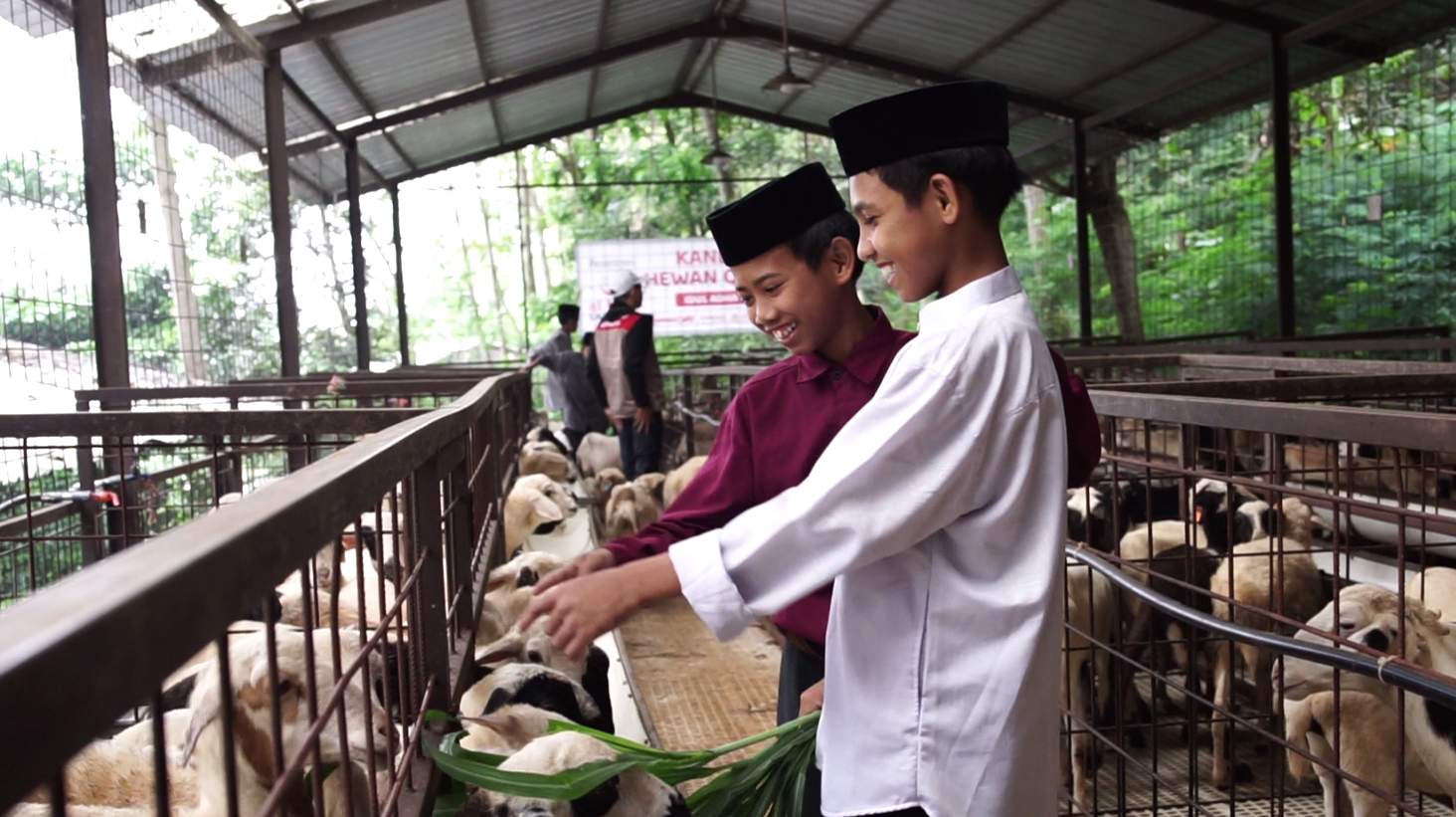 Sedekah Qurban, Hadirkan Senyum untuk Anak Yatim Dhuafa Penghafal Quran